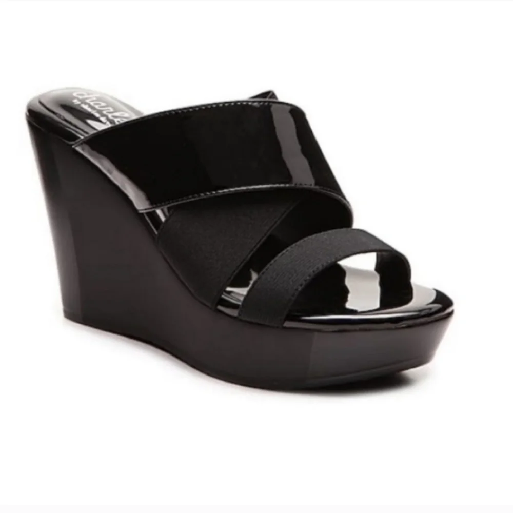 Charles by Charles David Fefe wedge sandals